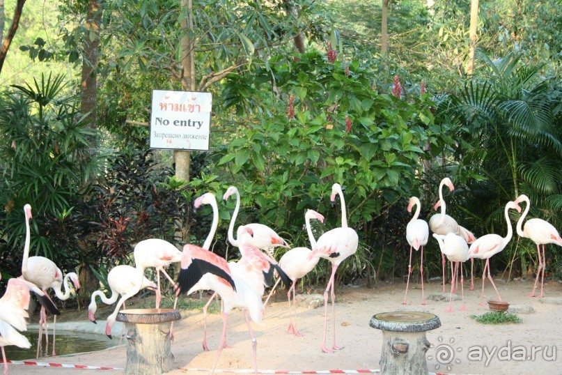 Зоопарк Кхао Кхео