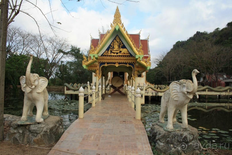 Храм диких обезьян