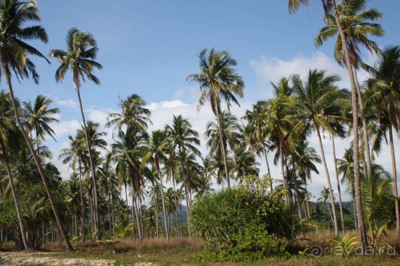 Необитаемый остров Ко Чанга