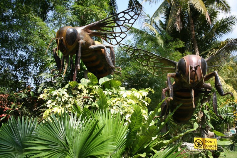 Пчелиная ферма