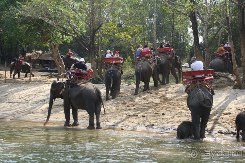 Слоновья деревня