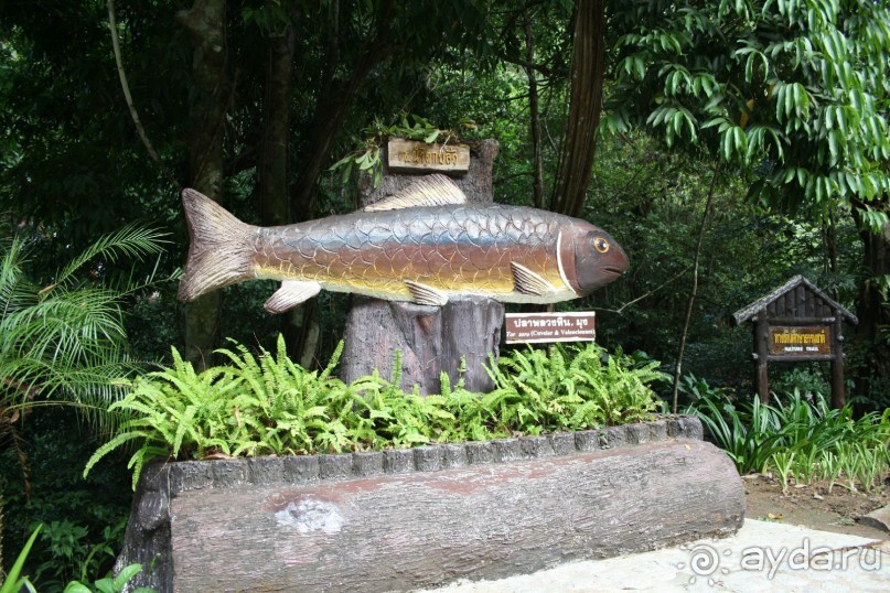 Чантабури. Национальный заповедник