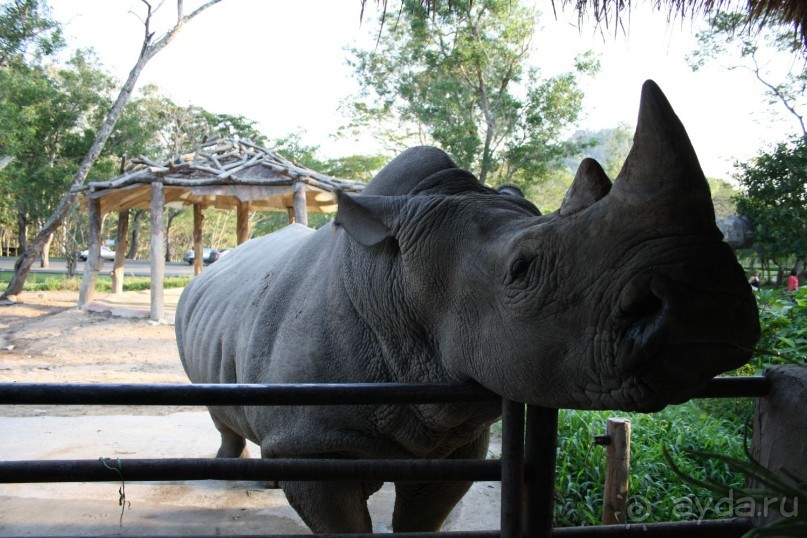 Зоопарк Кхао Кхео