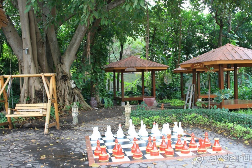 Территория отеля