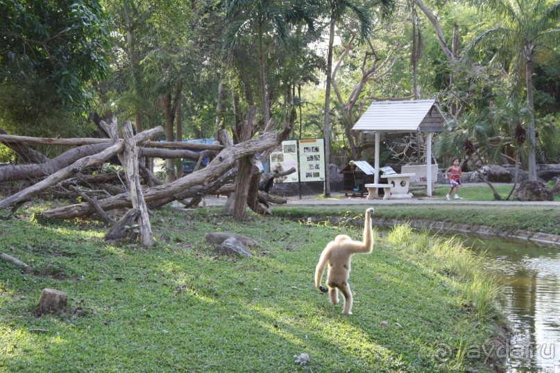 Зоопарк Кхао Кхео