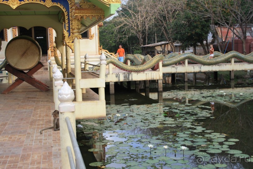 Храм диких обезьян