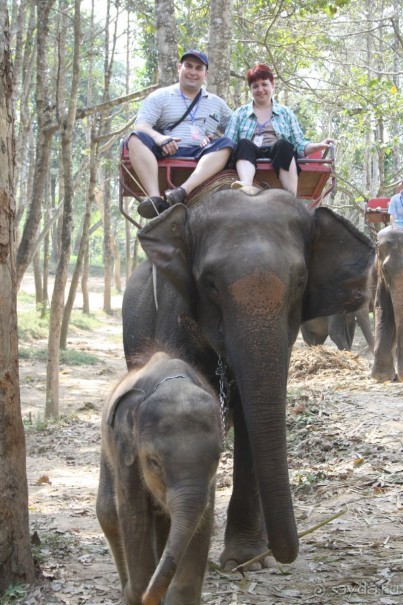 Слоновья деревня