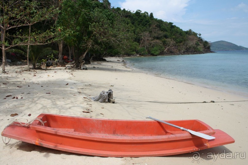 И всё таки он обитаем!