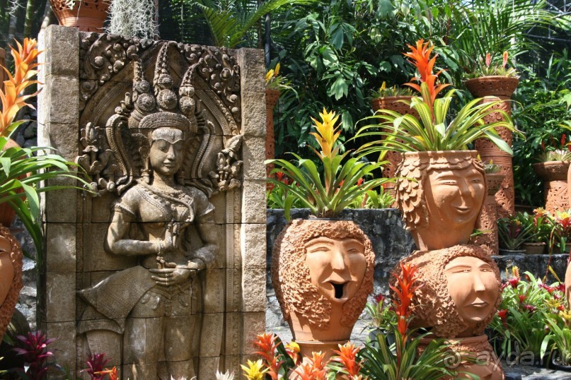 Парк Нонг Нуч, сад бромелиевых