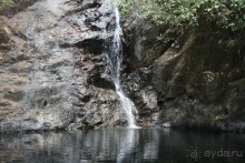 Водопад в  джунглях