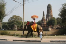 Аюттая -  древняя столица Сиама, практически полностью разрушенная  бирманцами. Данный вид транспорта используется только для прогулок с туристами.