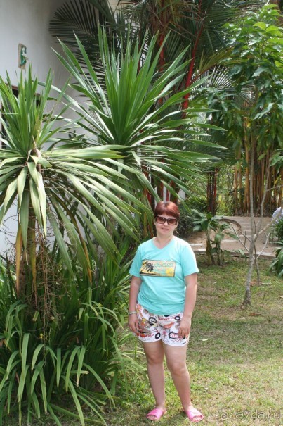 Отель Тай Гарден Хилл Резорт