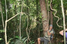 Наша интернациональная команда. Все иностранцы. Треккинг в джунгли.