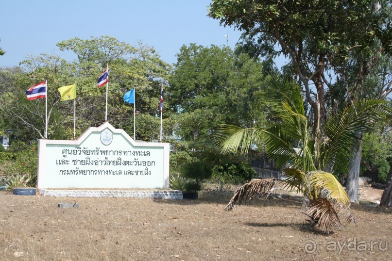 Движемся на черепашью ферму.