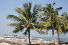 Пирс острова