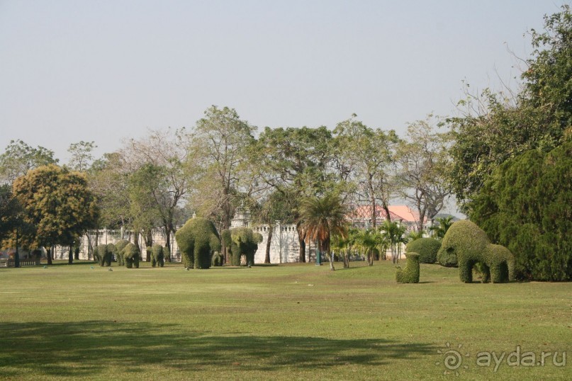 Аюттая. Королевская летняя резиденция. Парк с необычными фигурами из деревьев.