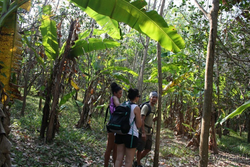 Наша интернациональная команда. Все иностранцы. Треккинг в джунгли.