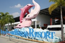 Паттайя. Дельфинарий.