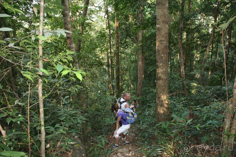 Наша интернациональная команда. Все иностранцы. Треккинг в джунгли.