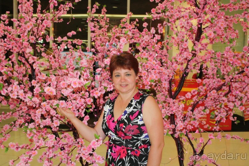 Паттайя. 31 января. Китайский Новый год.