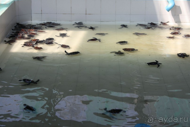 Отделение малюток.