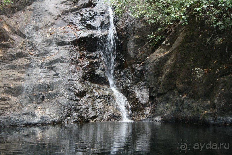 Водопад в  джунглях