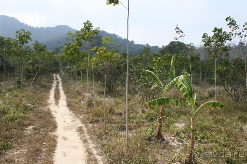 Треккинг в джунгли.