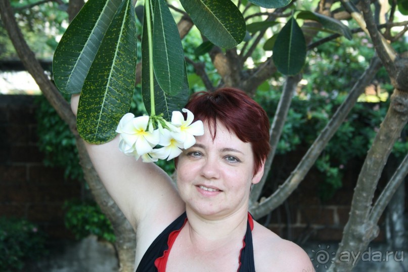 фото Twin Palms Resort