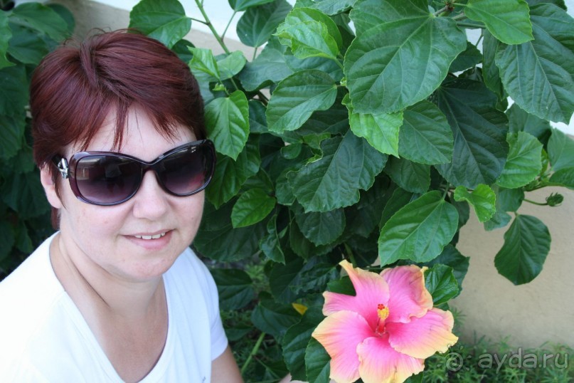 Отдых в Тайланде (Паттайя)