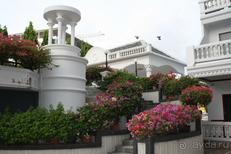 И кругом цветы