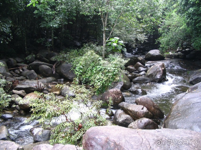 фото  Амра Парк Отель