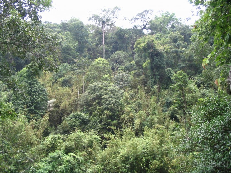 фото  Амра Парк Отель