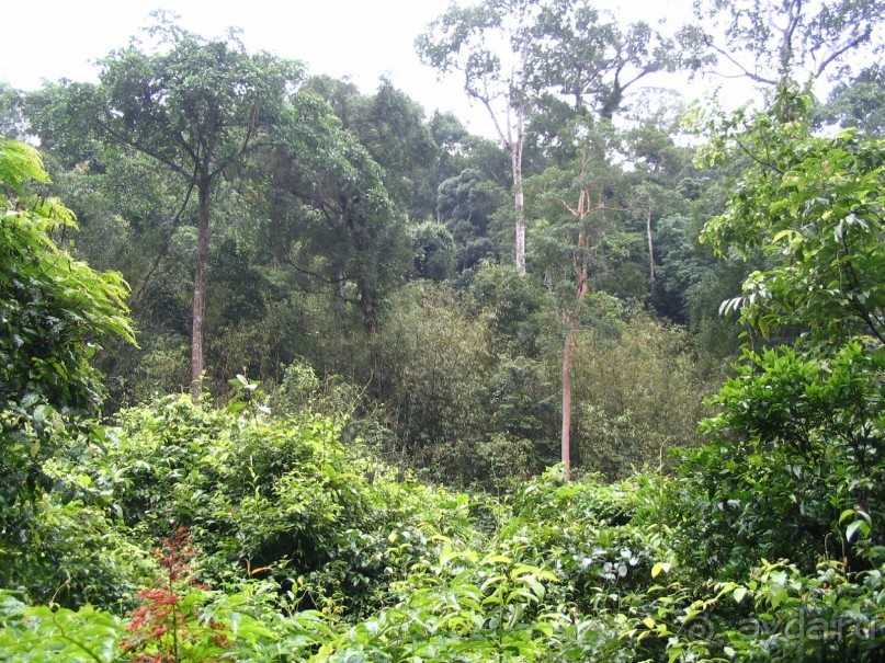 фото  Амра Парк Отель