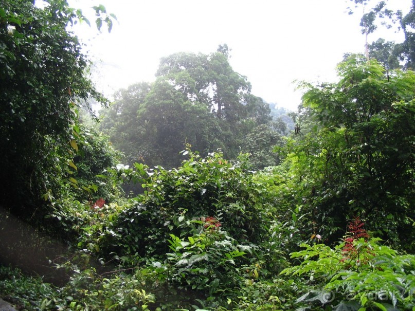 фото  Амра Парк Отель