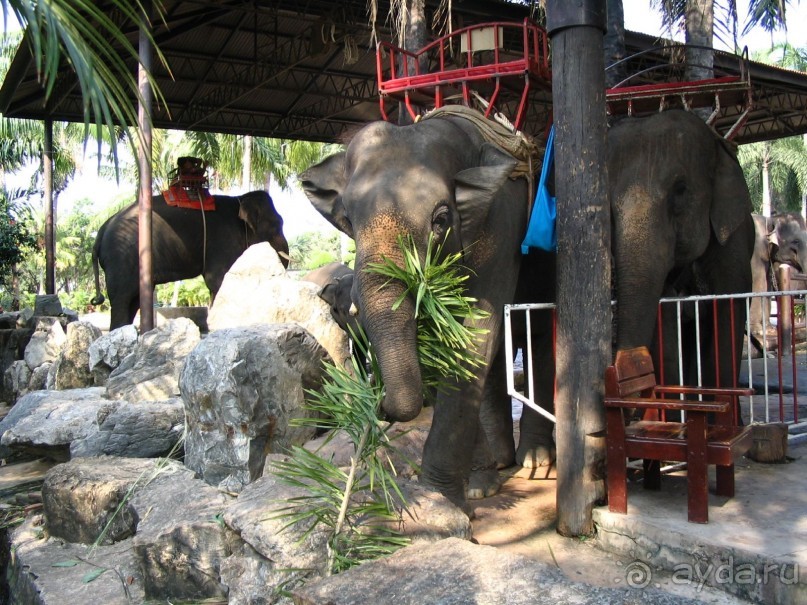 Паттайя 2005 - Nong Nooch Tropical Garden
