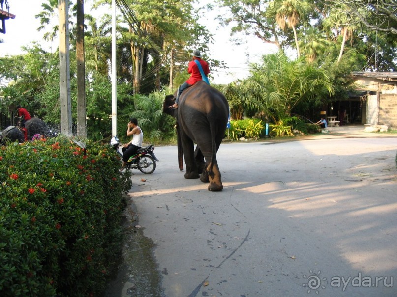 Паттайя 2005 - Nong Nooch Tropical Garden