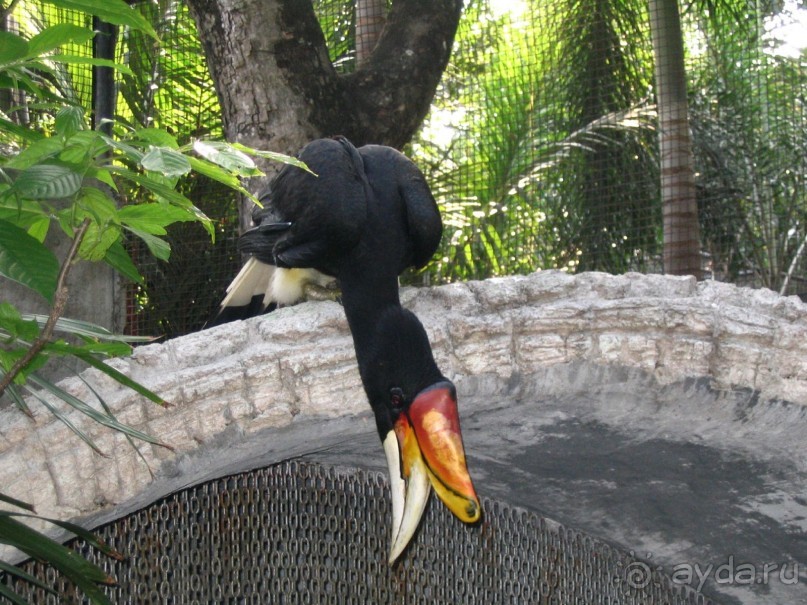 Паттайя 2005 - Nong Nooch Tropical Garden