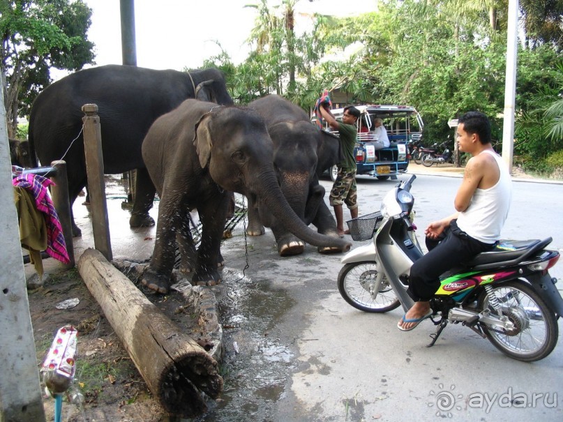 Паттайя 2005 - Nong Nooch Tropical Garden