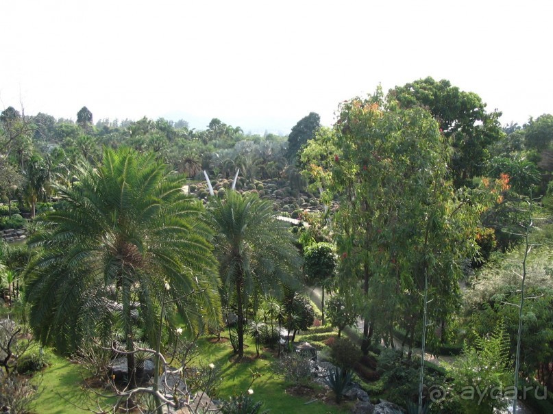 Паттайя 2005 - Nong Nooch Tropical Garden