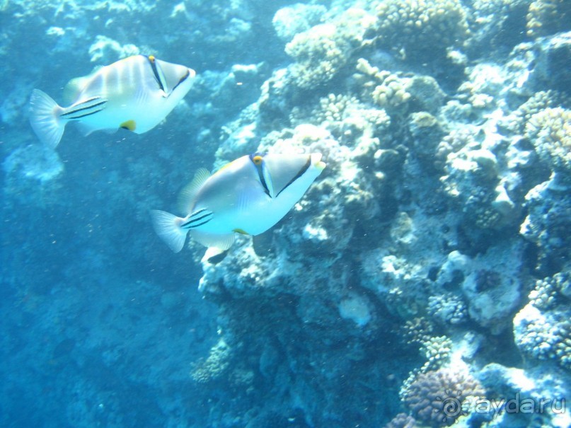 Хургада 2004 - море