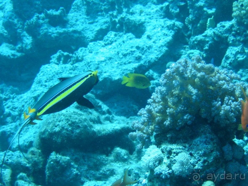 Хургада 2004 - море