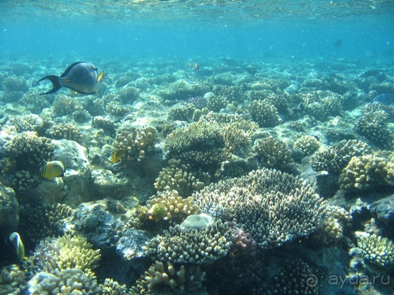 Хургада 2004 - море