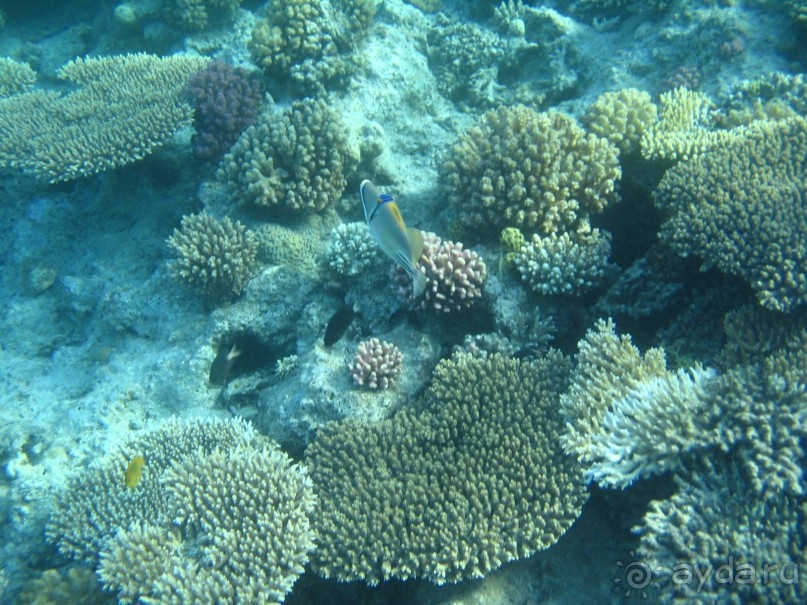 Хургада 2004 - море