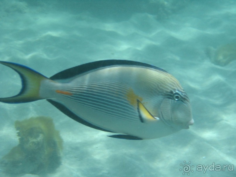 Хургада 2004 - море