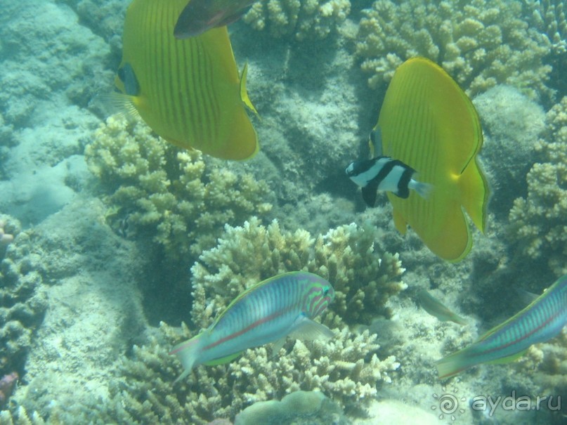 Хургада 2004 - море