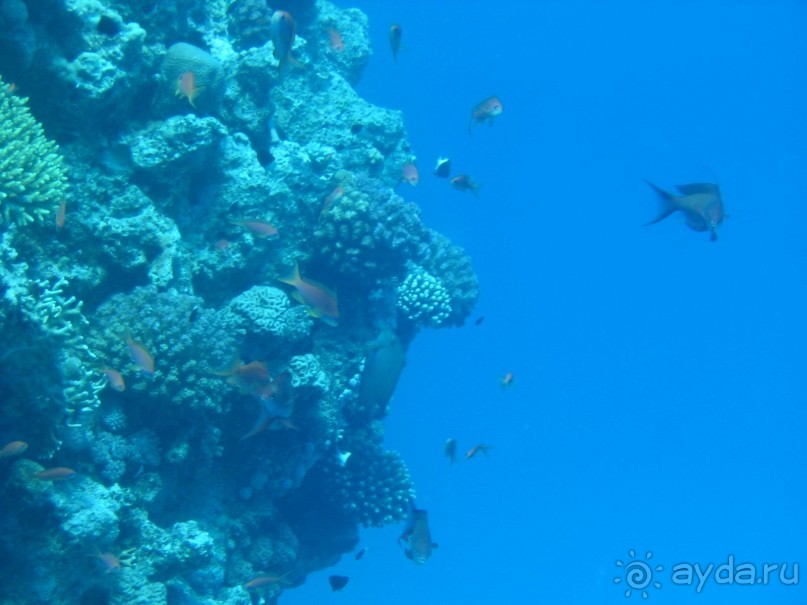 Хургада 2004 - море