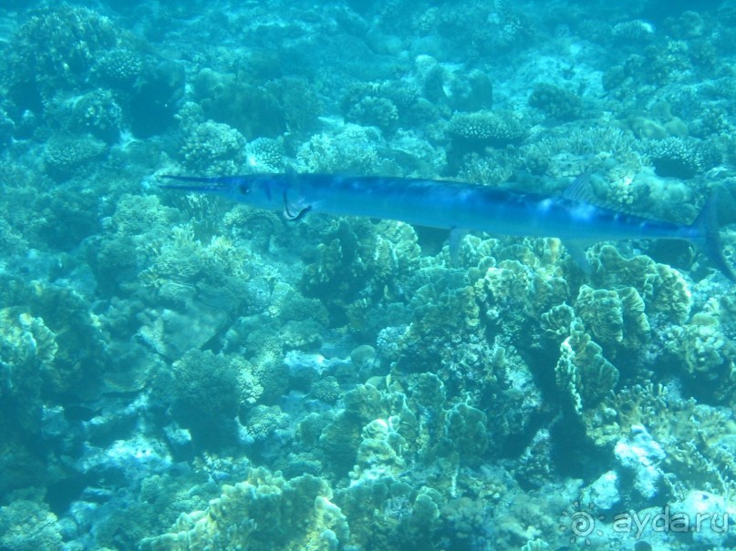 Хургада 2004 - море