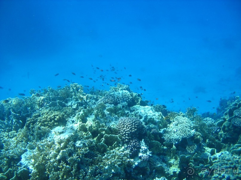 Хургада 2004 - море