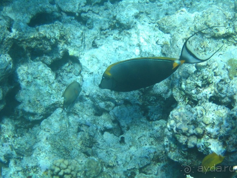 Хургада 2004 - море