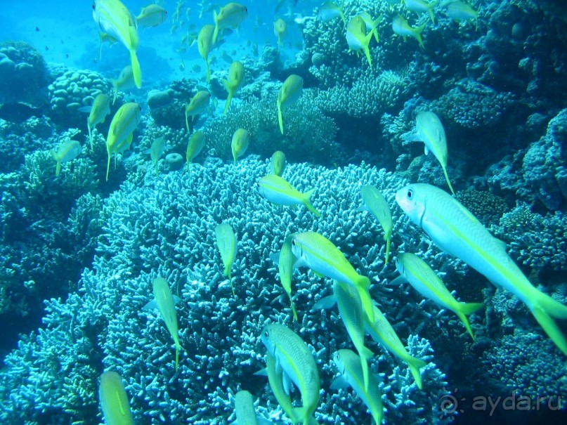 Хургада 2004 - море